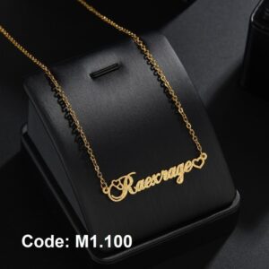 M1.100